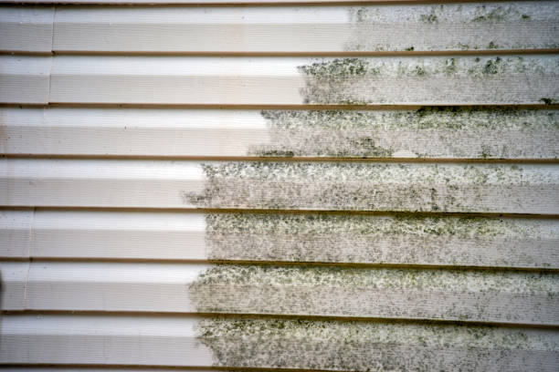 Best Mattress Disposal  in Homer City, PA